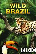 Watch Wild Brazil Movie4k