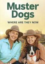 Watch Muster Dogs: Where Are They Now? Movie4k