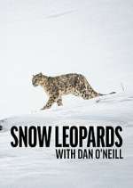 Watch Snow Leopards with Dan O\'Neill Movie4k