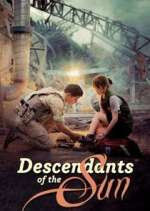 Watch Descendants of the Sun Movie4k