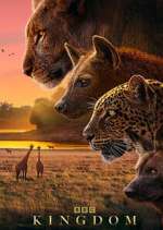 Watch Kingdom Movie4k