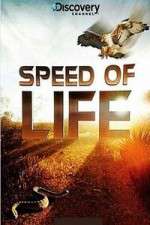 Watch Discovery Channel Speed Of Life Movie4k